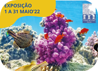 Exposição - “Biodiversidade com Arte - 2022”