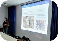 Proteção e Defesa das Aves Marinhas