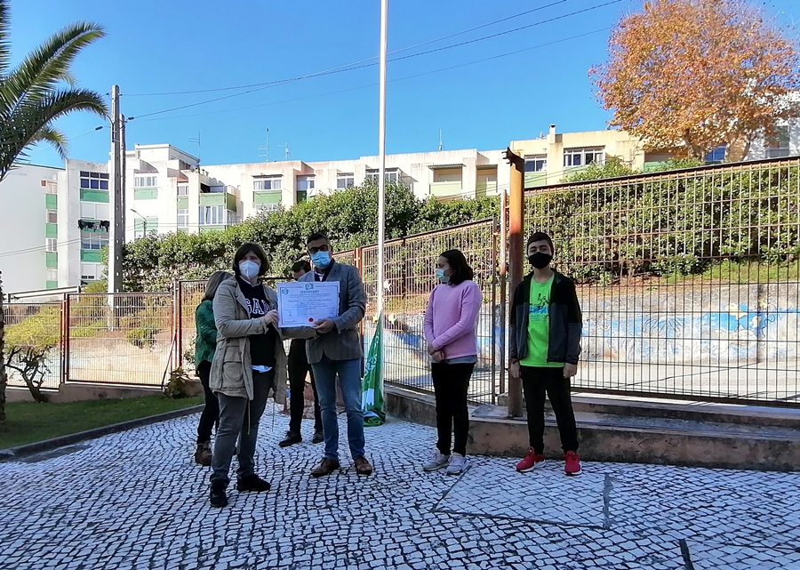 ECO Bandeira 11